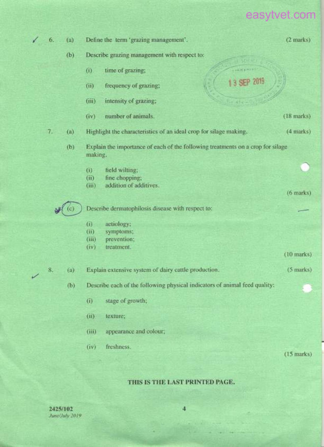 Antmal Production (2019) — page 4 of 4