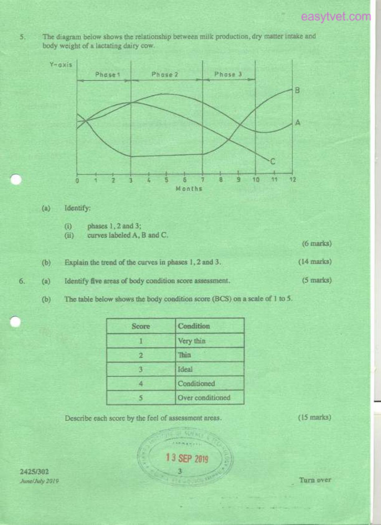 Animal Production 1l (2019) — page 3 of 4