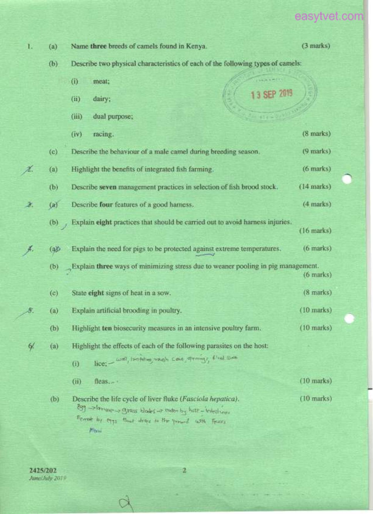 Animal Production Ti (2019) — page 2 of 3