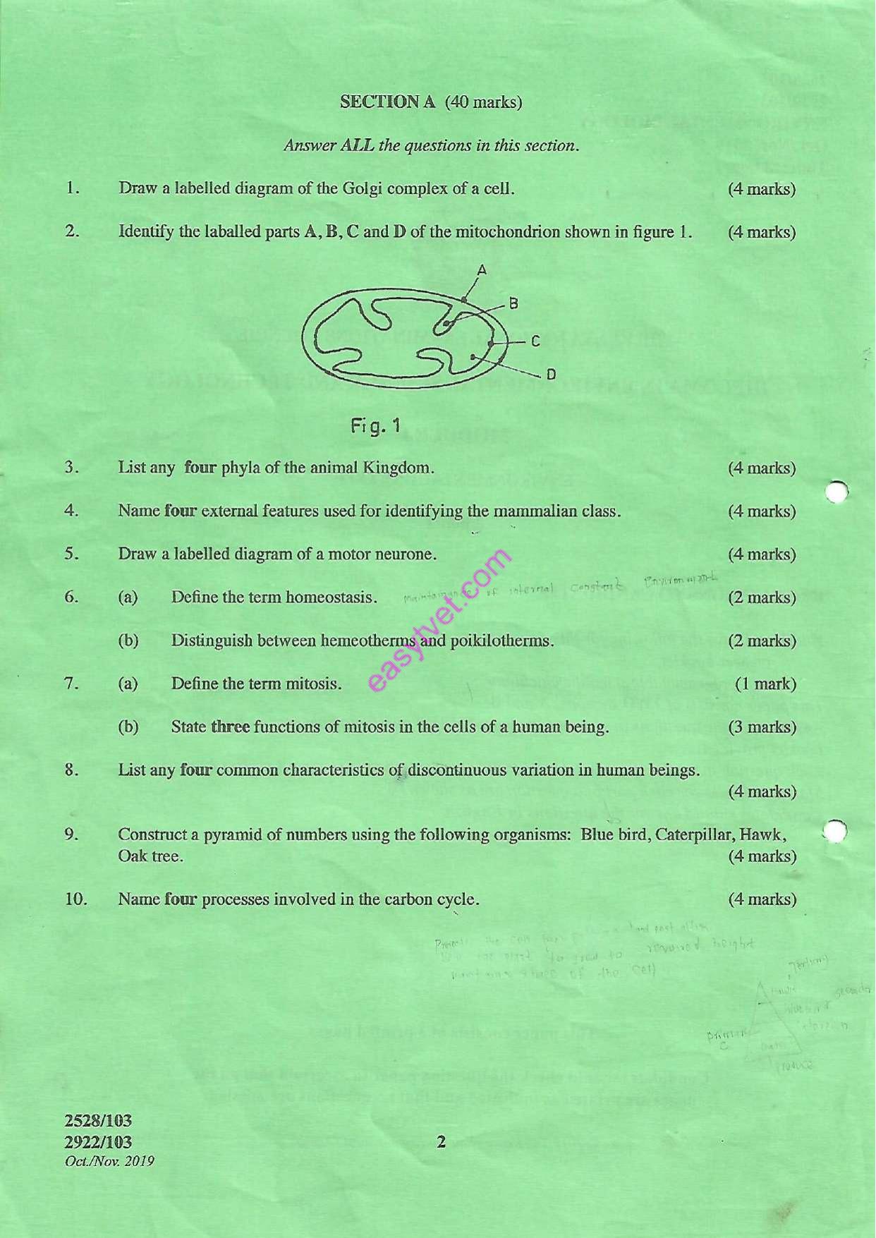 Environmental Biology (2019) — page 2 of 3