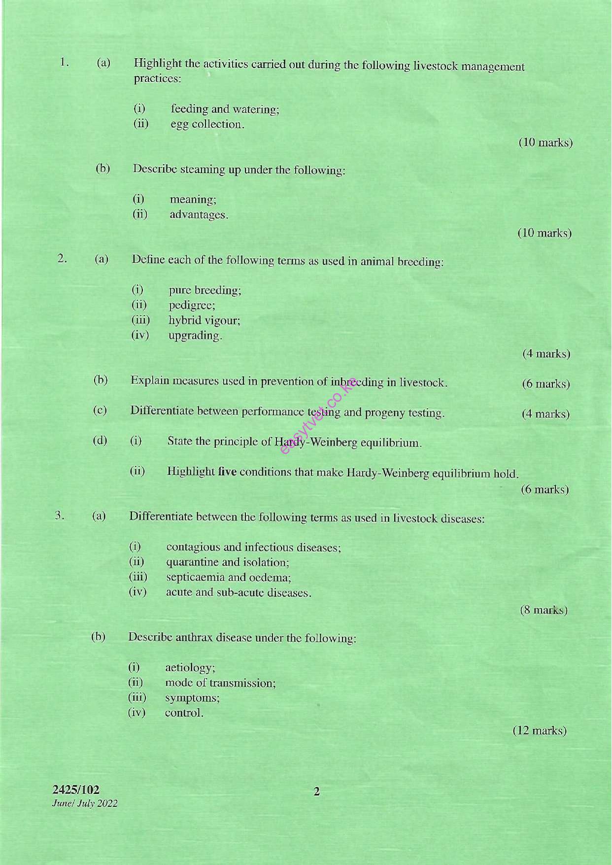 Animail Production I (2022) — page 2 of 3