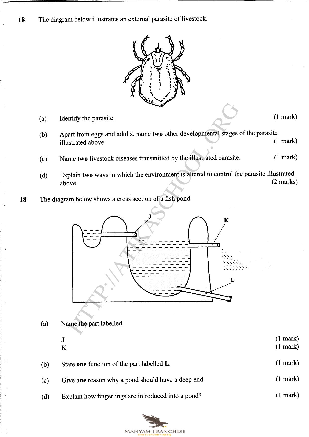 B Manyam Franchise — page 3 of 4