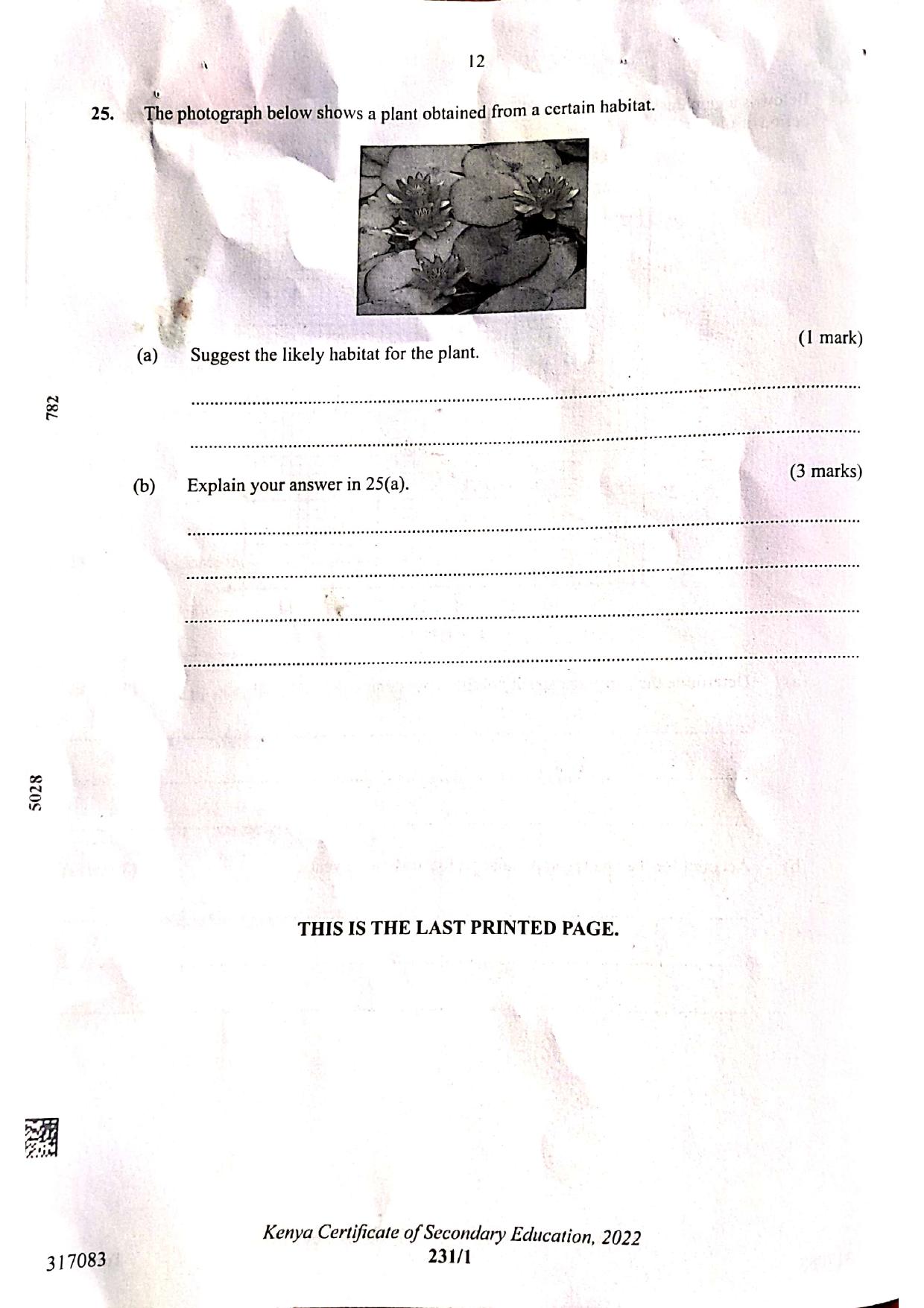 Paper (2022) — page 12 of 12
