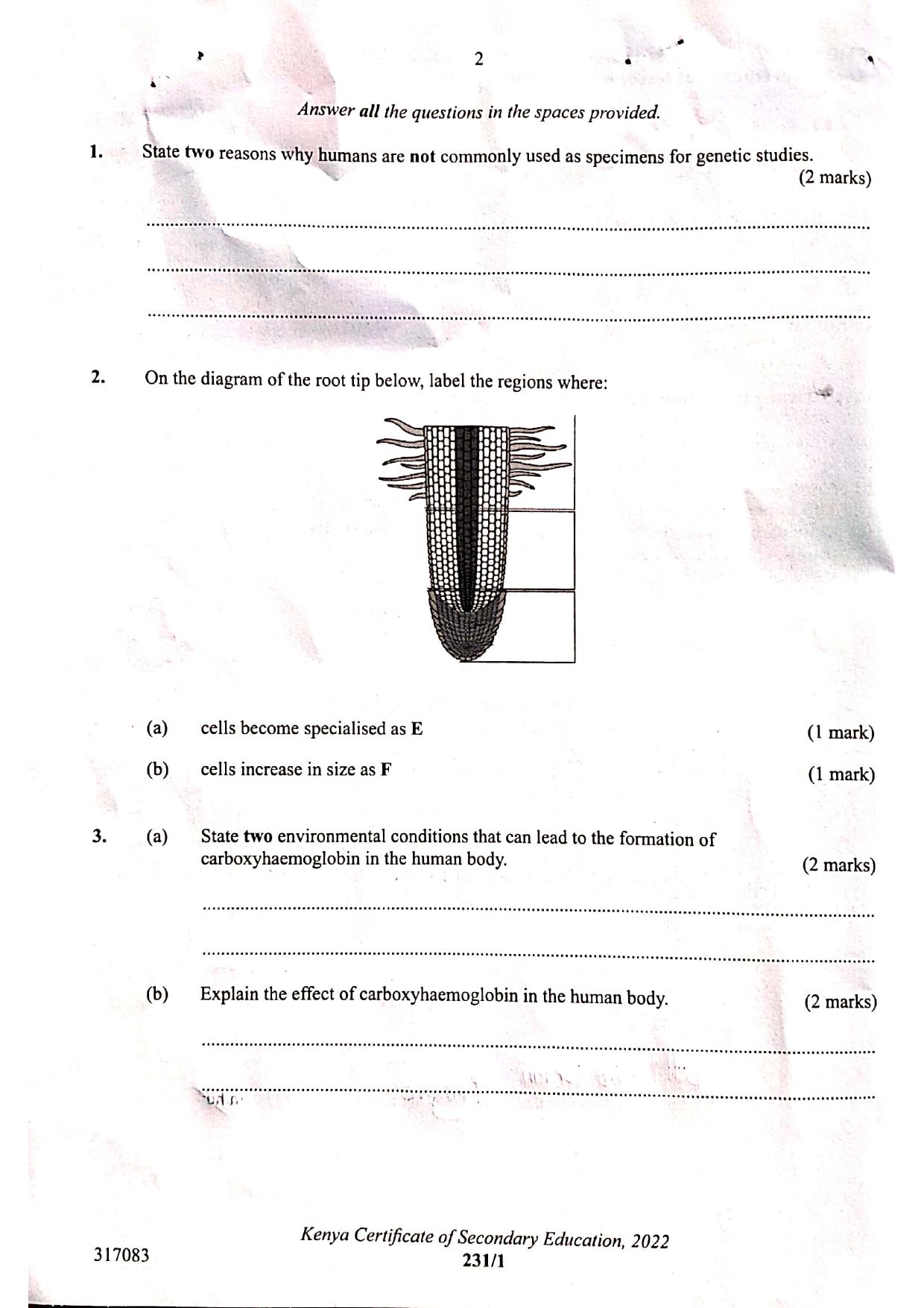 Paper (2022) — page 2 of 12