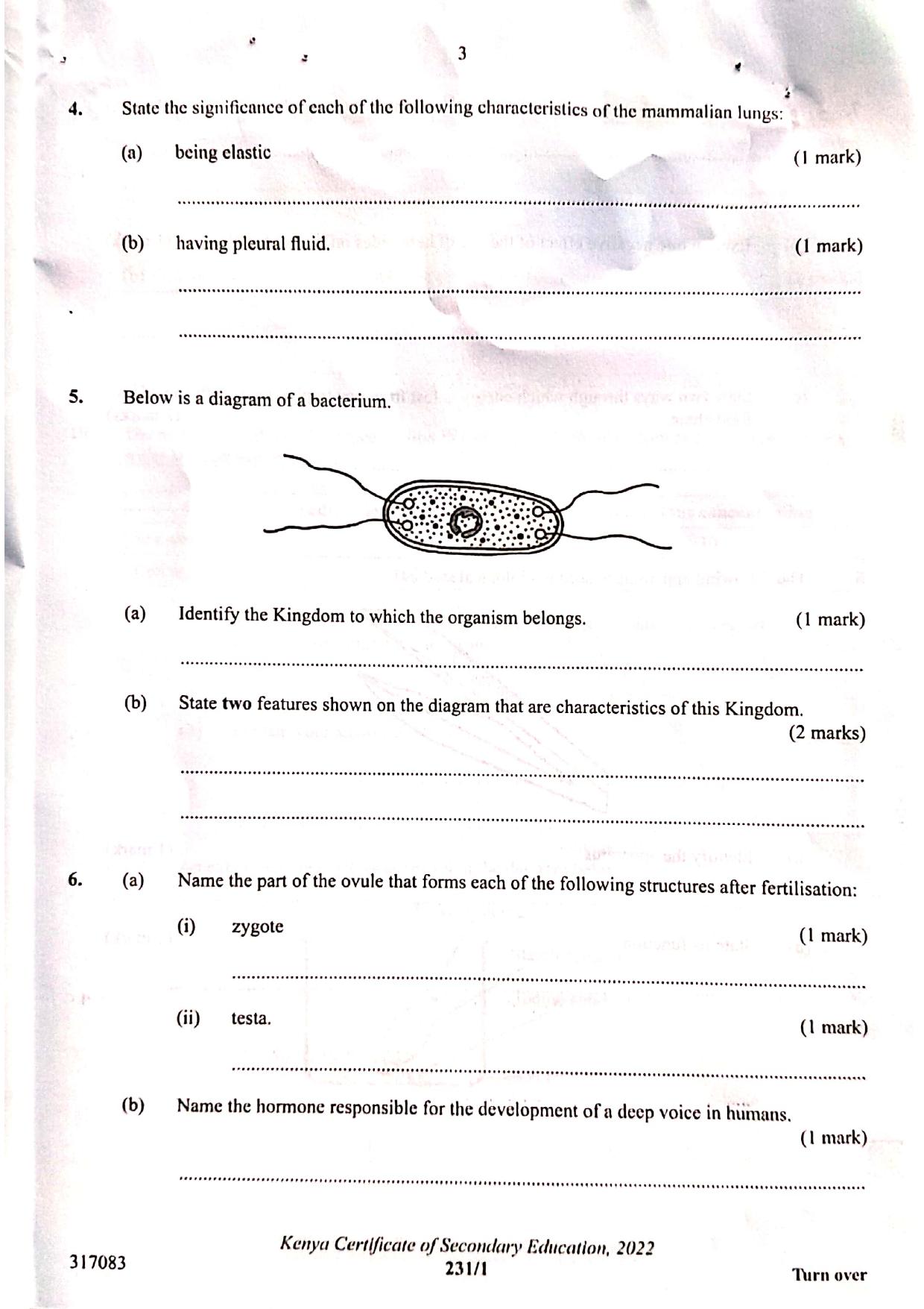 Paper (2022) — page 3 of 12