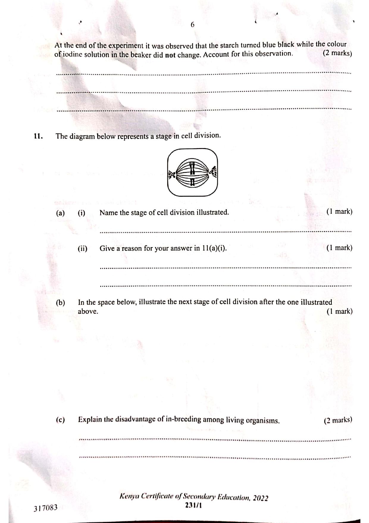 Paper (2022) — page 6 of 12