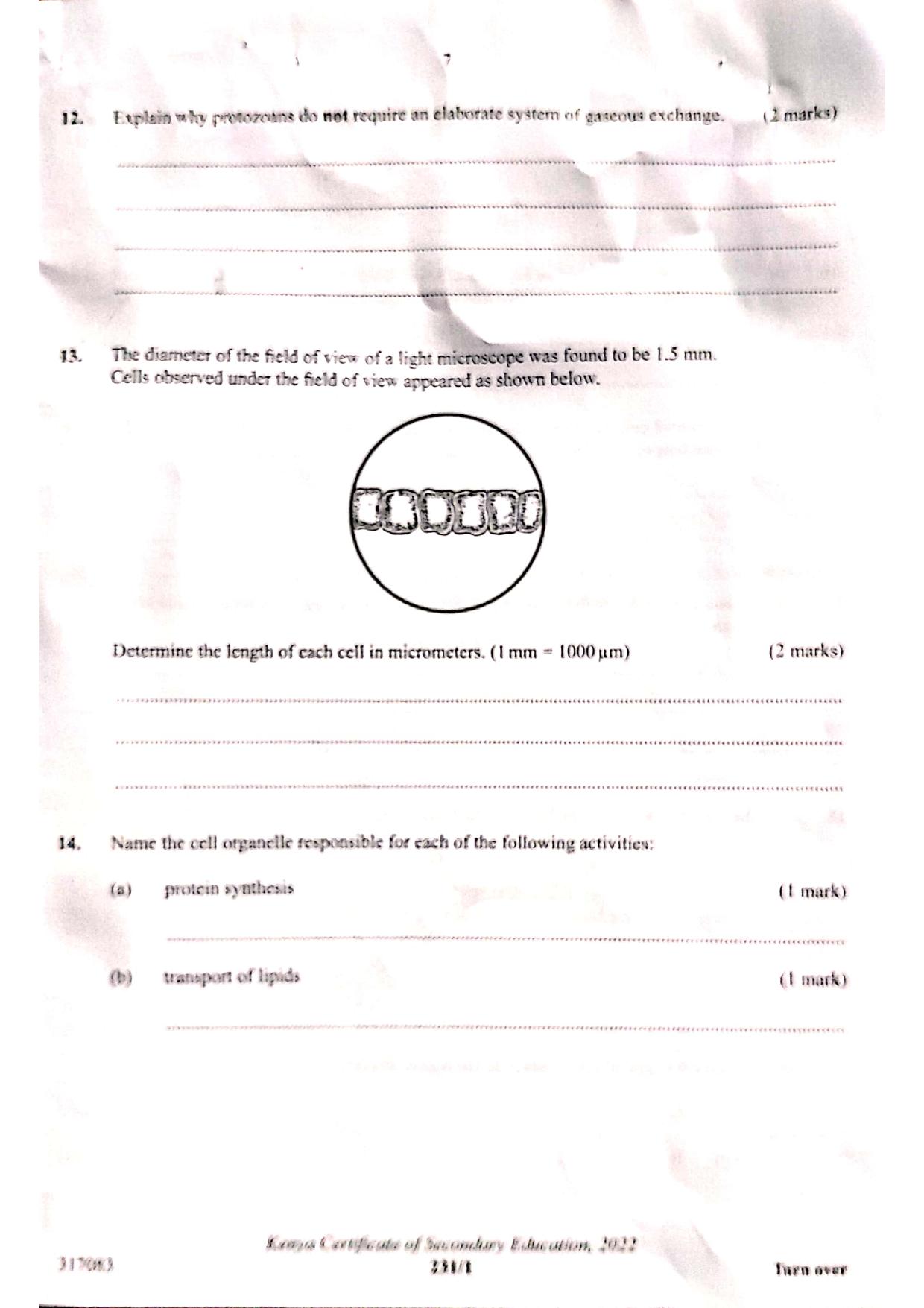 Paper (2022) — page 7 of 12