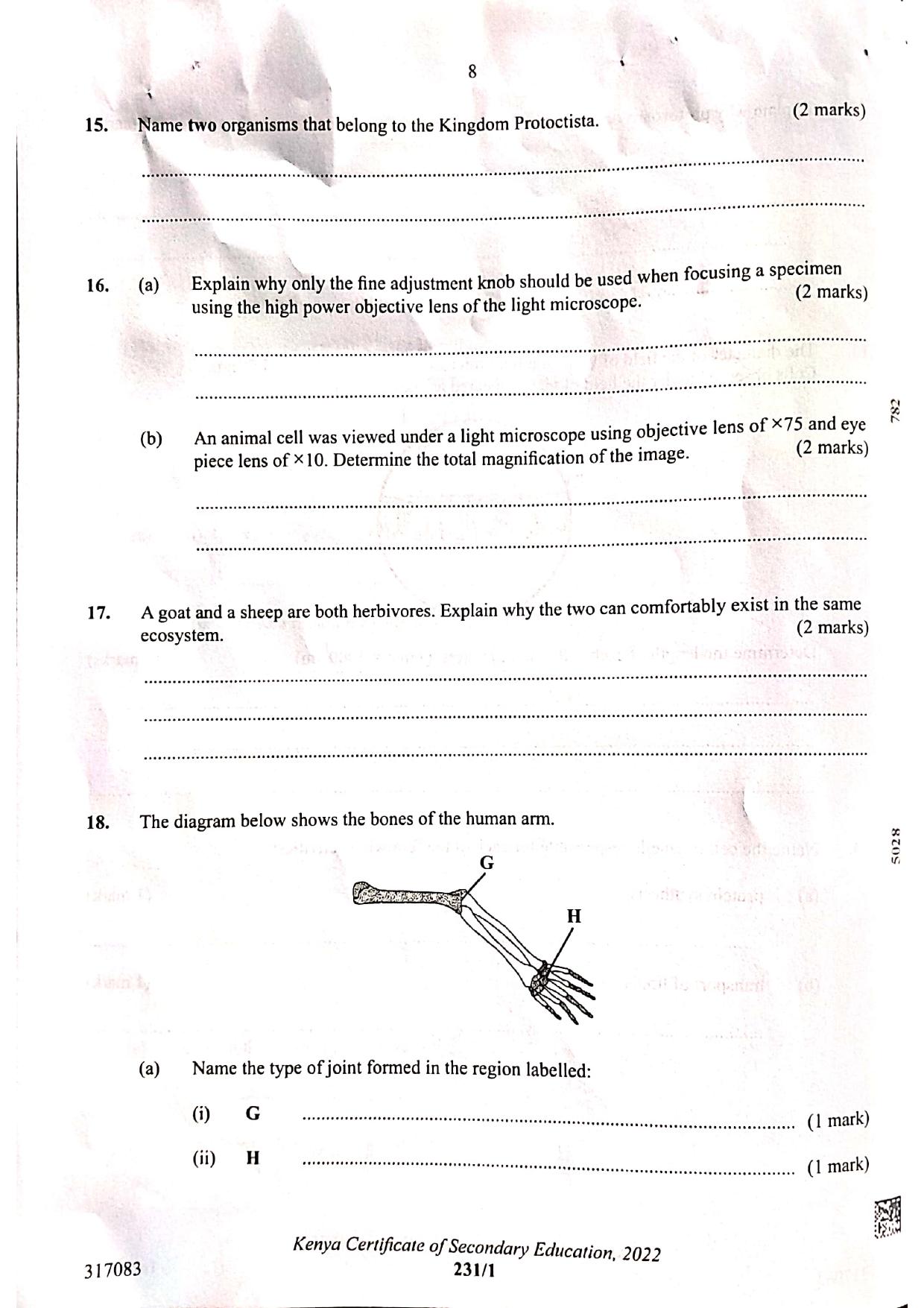 Paper (2022) — page 8 of 12