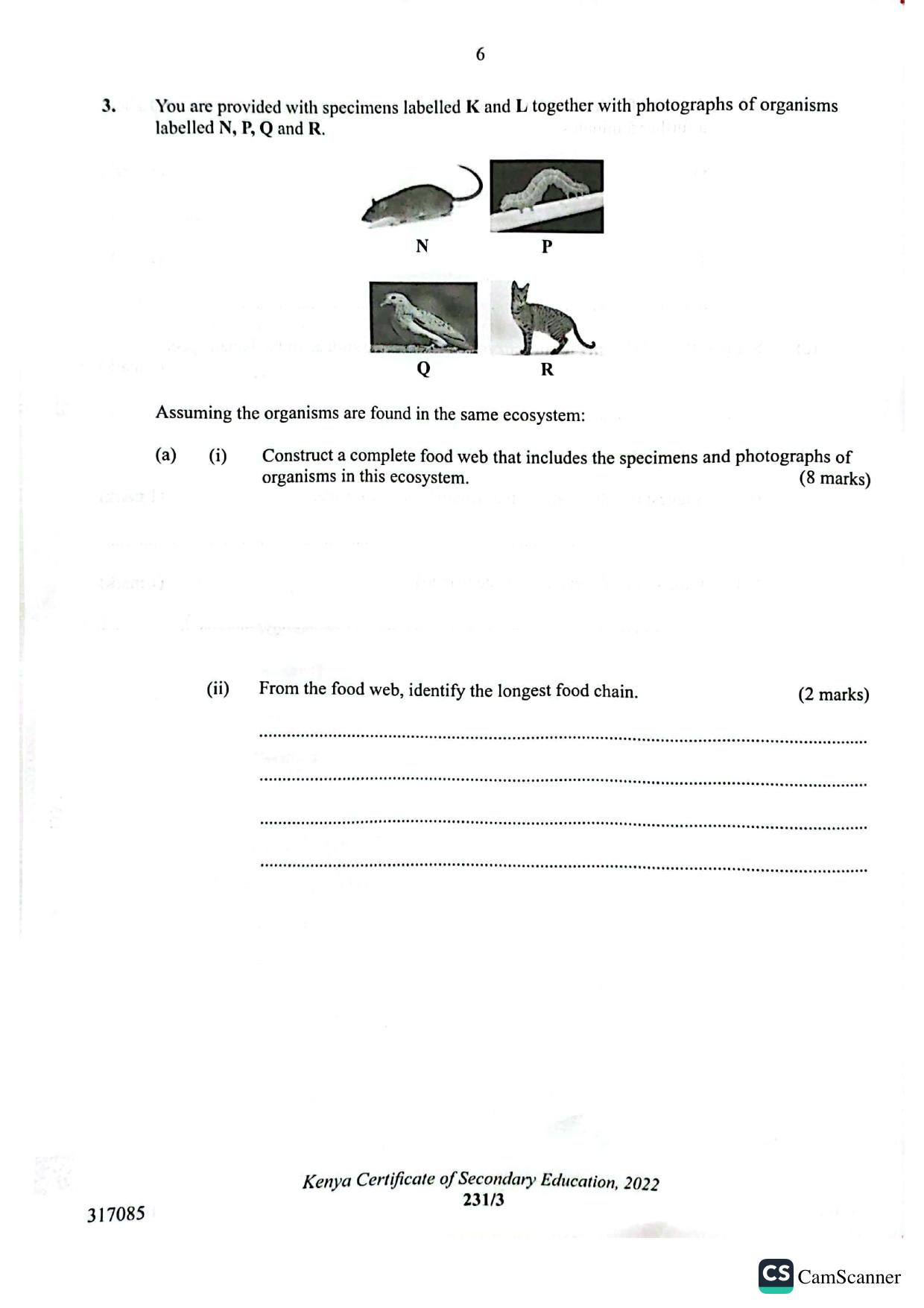 Biology Paper 3 — page 6 of 7