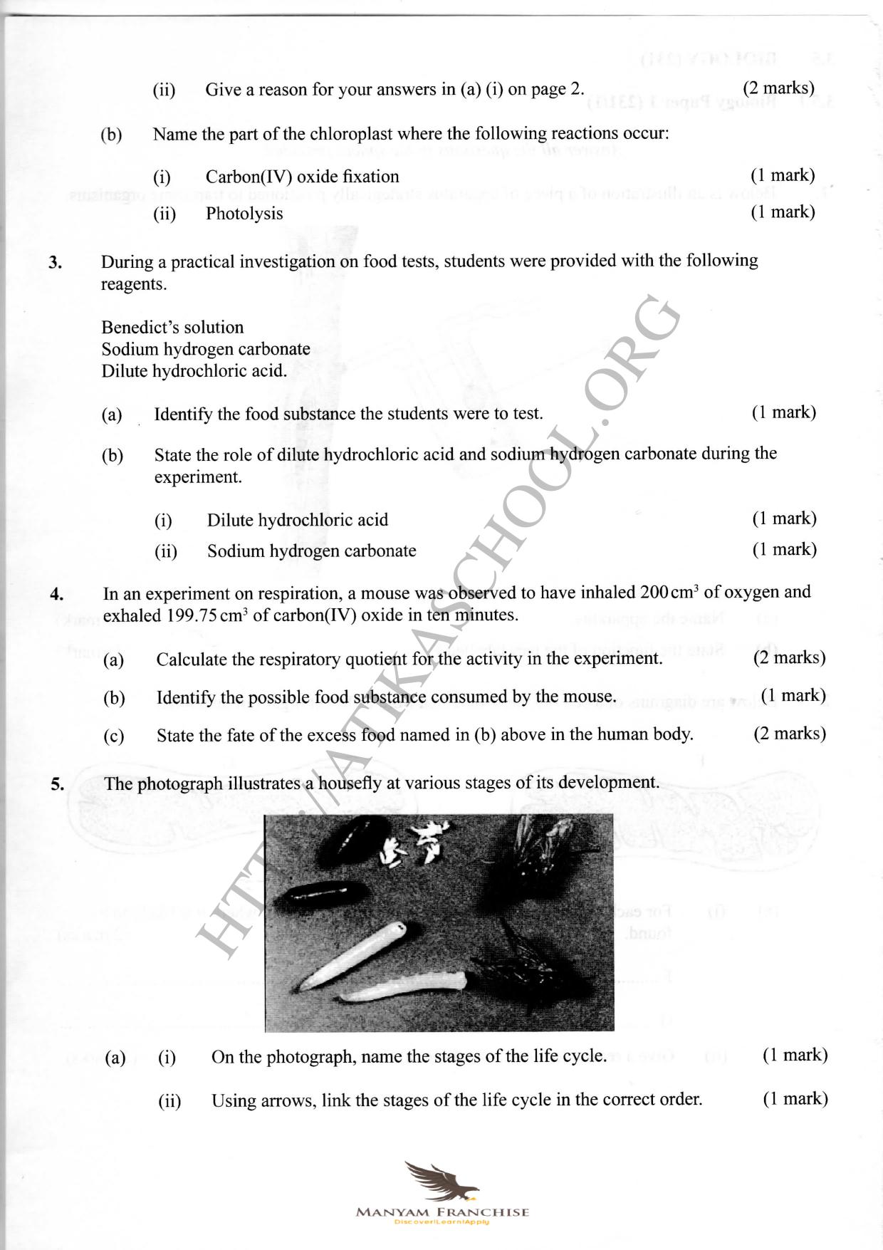 Manyam Franchise — page 2 of 6