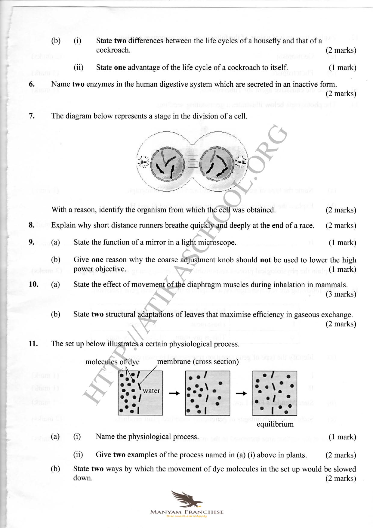 Manyam Franchise — page 3 of 6