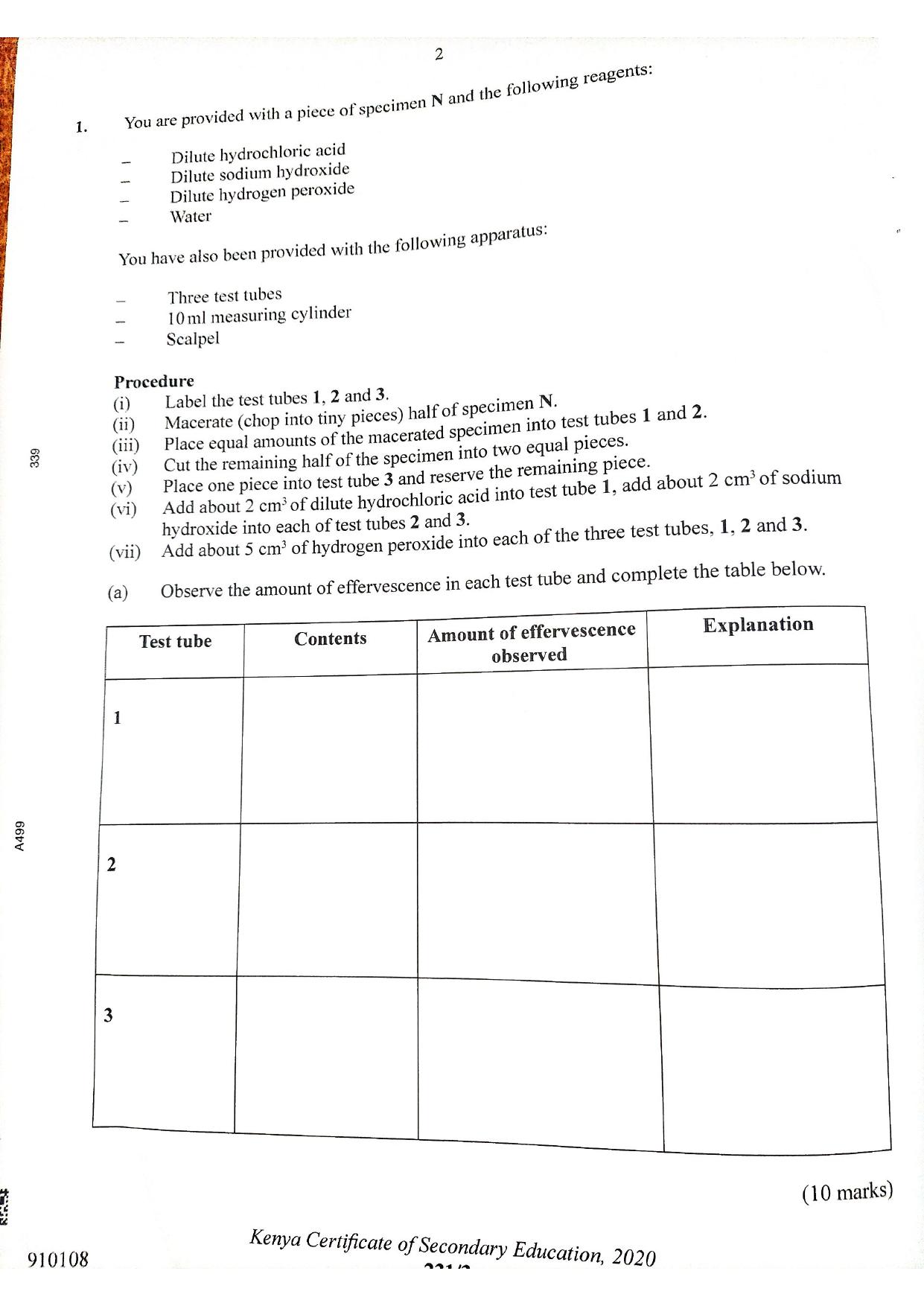 Y Biology (2021) — page 2 of 7
