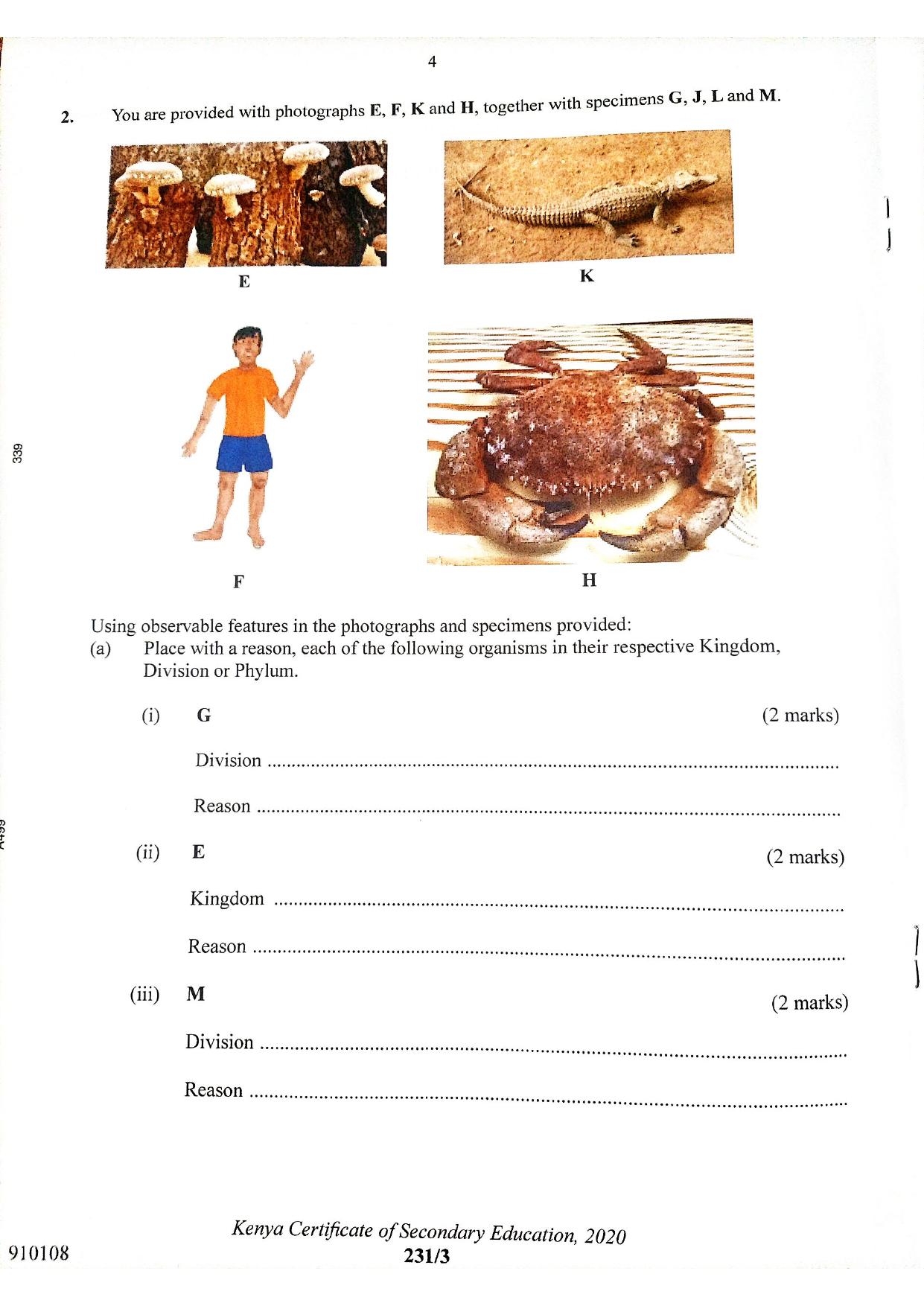 Y Biology (2021) — page 4 of 7