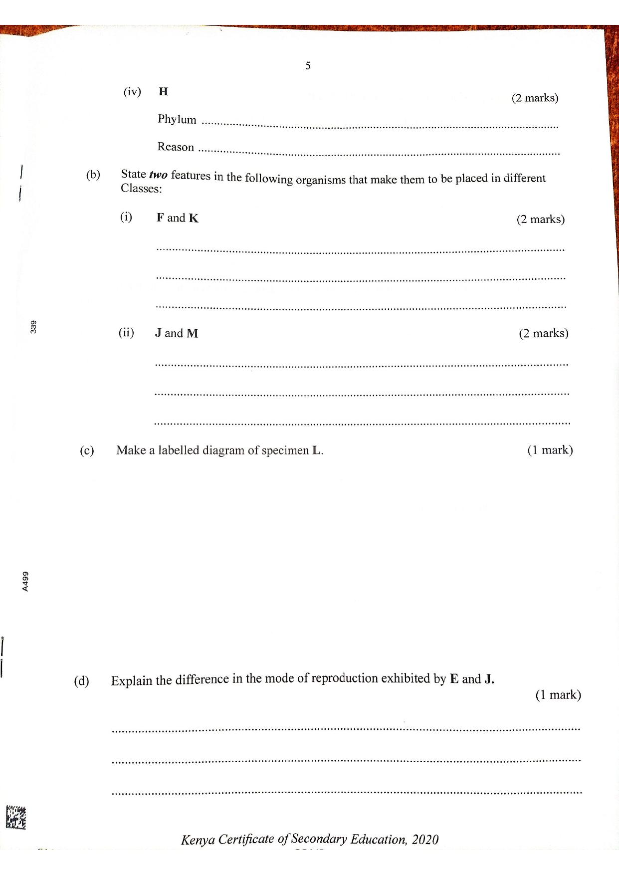 Y Biology (2021) — page 5 of 7
