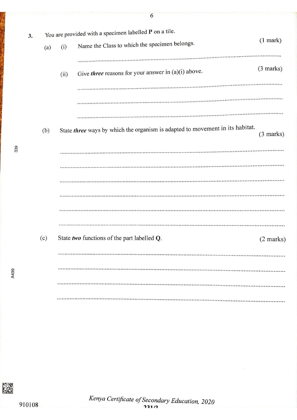 Y Biology (2021) — page 6 of 7